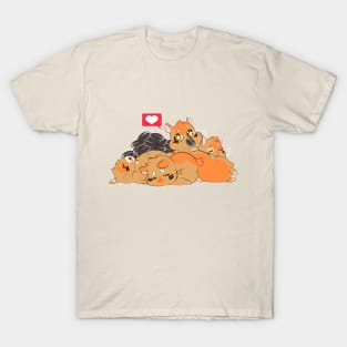 Sunshine Boy-Hamster T-Shirt